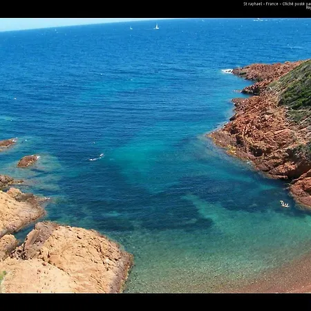 Etoile D'azur *